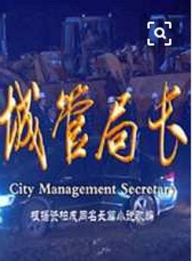 城管局长第21集