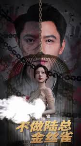 掌中玩物，不做陆总金丝雀全集 (上)