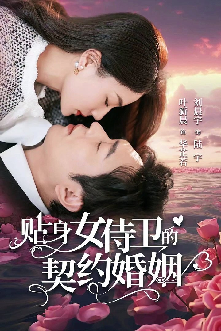 贴身女侍卫的契约婚姻(全集)