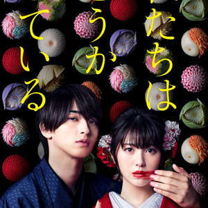 我们的爱情不正常(全集)