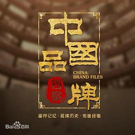 中国品牌档案(全集)