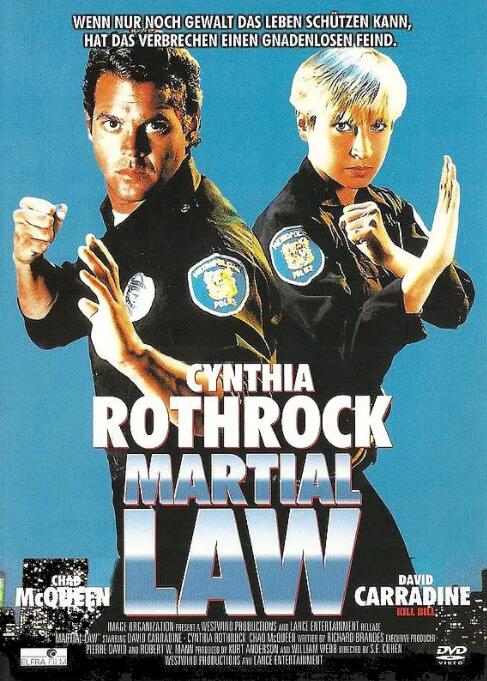 卧底飞龙(全集)